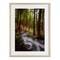 Stupell Industries Mist In The Adirondacks Framed Print Under Glass, design by James Rodewald